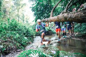 BIB: 
                            <button type="button" onclick="openModal(25460122)" class="btn btn-primary btn-sm float-right btn-popup" data-toggle="modal" data-target=".modal-high-quality">
                        <i class="fas fa-shopping-cart"></i> Add to Cart
                    </button>
                                            <button type="button" onclick="isThisMe(25460122, true)" class="btn btn-success btn-sm float-right btn-popup btn-isme hidden" data-toggle="tooltip" data-placement="bottom" title="นี่คือรูปของคุณใช่ไหม คลิกที่นี่เพื่อเอาเข้าอัลบั้ม">
                        <i class="fas fa-plus"></i> Add to album
                    </button>
                    <button type="button" onclick="isThisMe(25460122, false)" class="btn btn-warning btn-sm float-right btn-popup btn-isnotme hidden">
                        <i class="fas fa-ban"></i> Remove from album
                    </button>